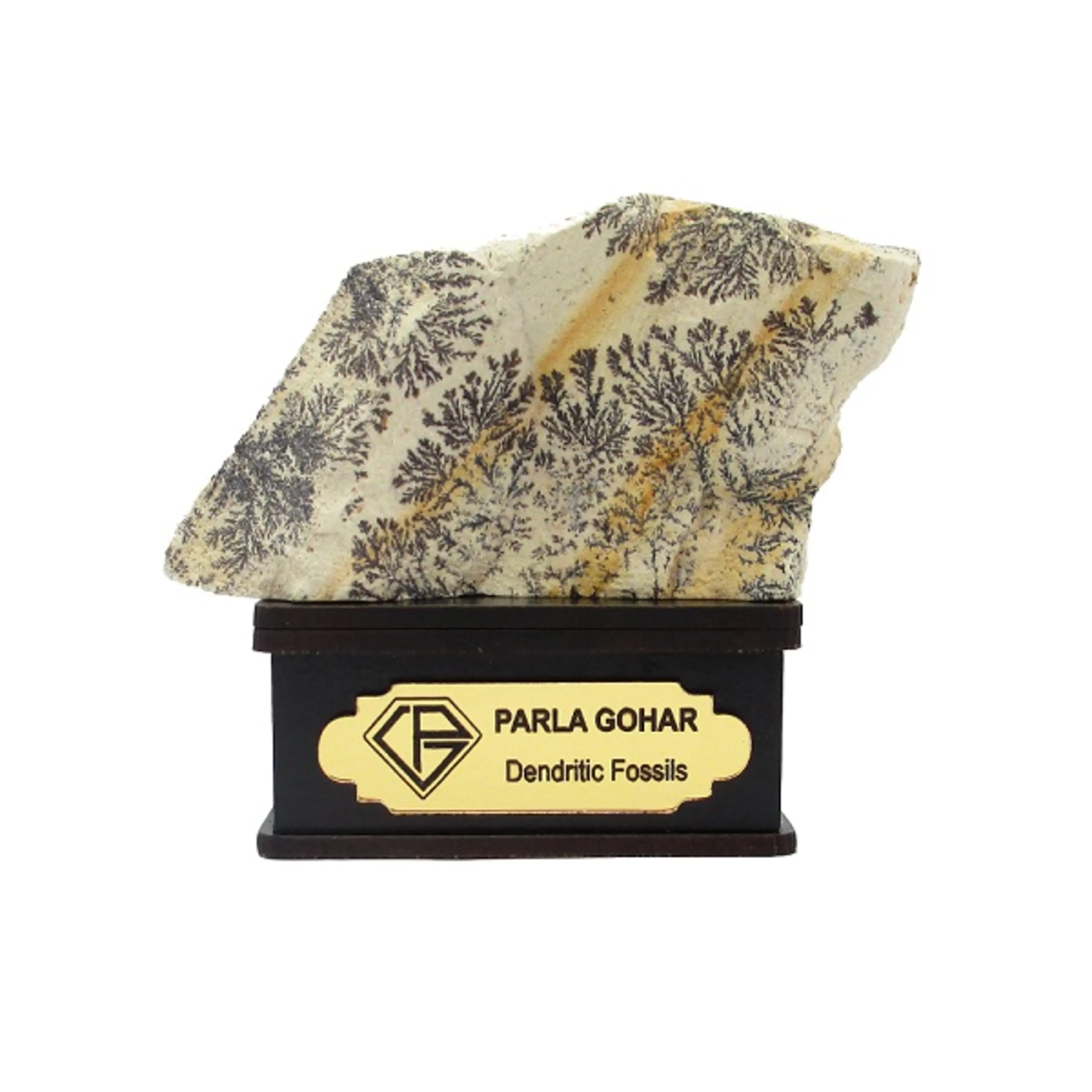 شجر راف کد 2364